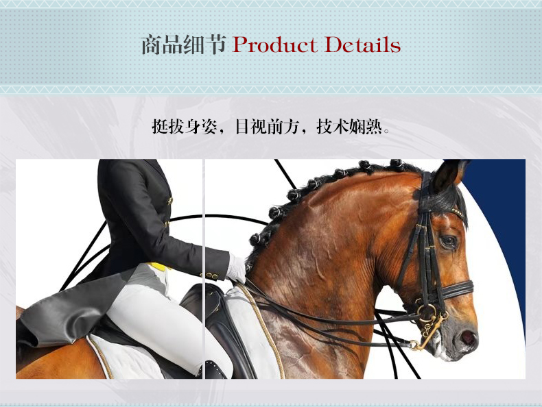 現(xiàn)代簡約客廳裝飾畫 歐式玄關走廊壁畫 法式晶瓷畫 純手繪油畫 馬背上的女子