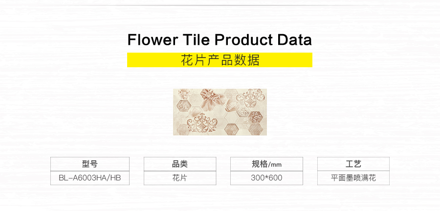 衛(wèi)生間內(nèi)墻磚 金斯敦